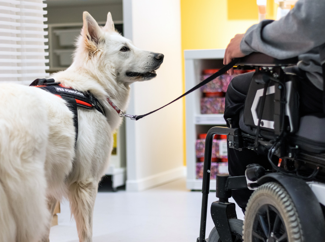 Tre ausili innovativi in grado di migliorare la qualità della vita delle persone con disabilità